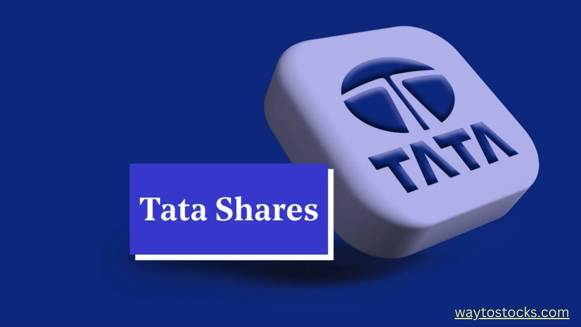 Tata Investment share price